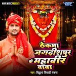 Thekma Jgdishpur Ke Mahaveer Baba