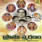 Chinni Krishnamma Chesina Vinthalu