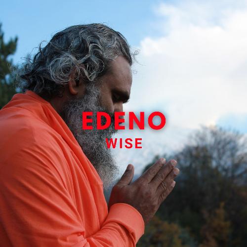 Wise cover art