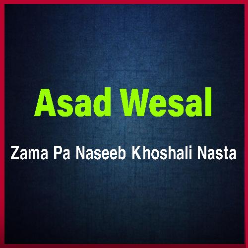 Zama Pa Naseeb Khoshali Nasta