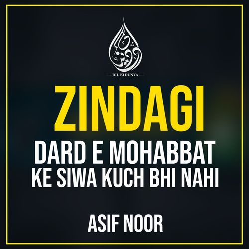 Zindagi Dard e Mohabbat ke Siwa Kuch Bhi Nahi