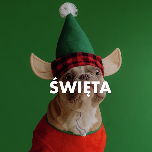 You Make It Feel Like Christmas - Song Download from Święta @ JioSaavn