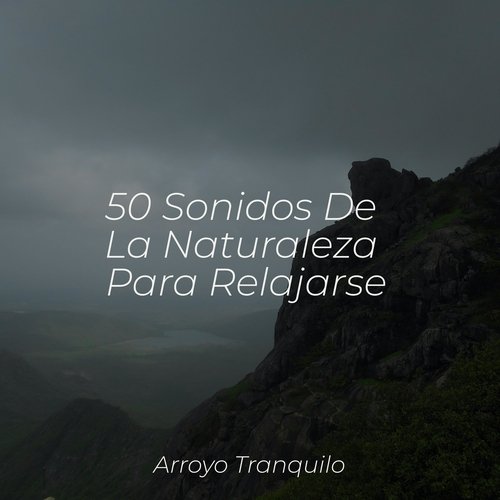 50 Sonidos De La Naturaleza Para Relajarse