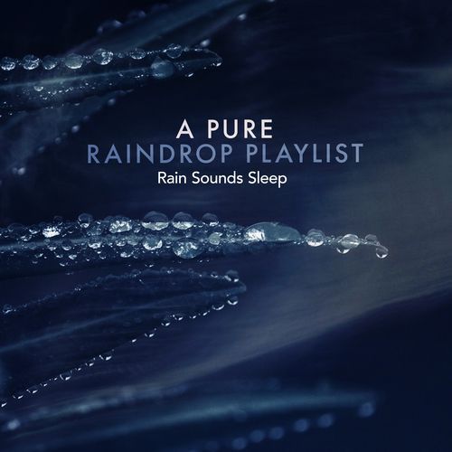 Rain at the Windows