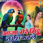 Aaja Mere Mitthu Tu Aish Kar Le