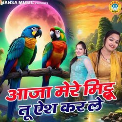 Aaja Mere Mitthu Tu Aish Kar Le