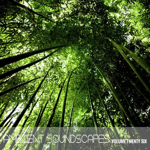 Ambient Soundscapes- Vol 26
