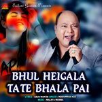 Bhul Heigala Tate Bhala Pai