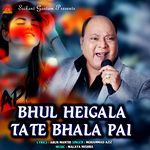 Bhul Heigala Tate Bhala Pai