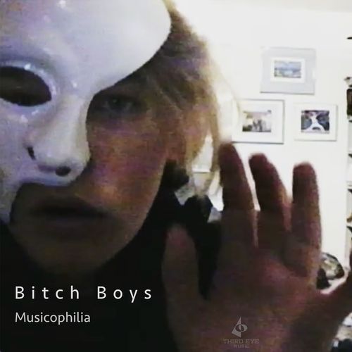 Bitch Boys cover art