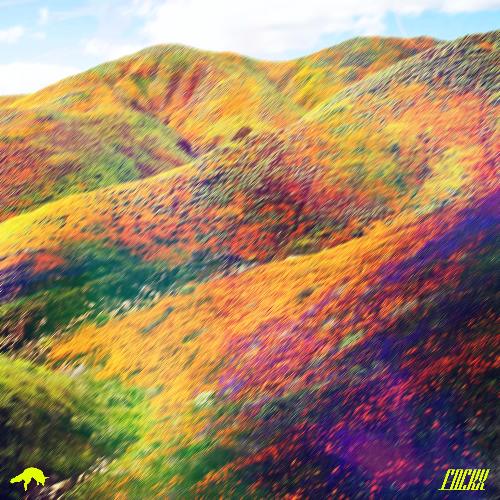 Blooming cover art
