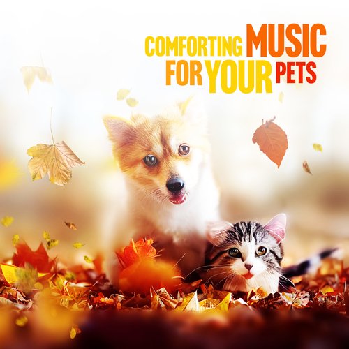 Relax My Dog cover art