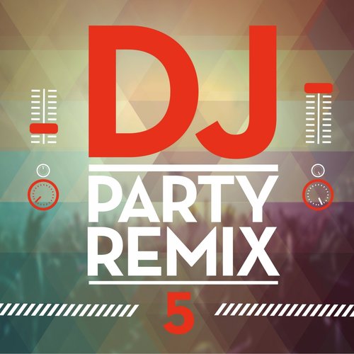 DJ Party Remix, Vol. 5_poster_image