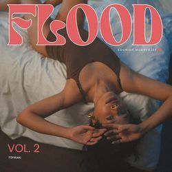 Flood Vol. 2