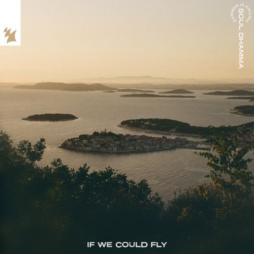 If We Could Fly