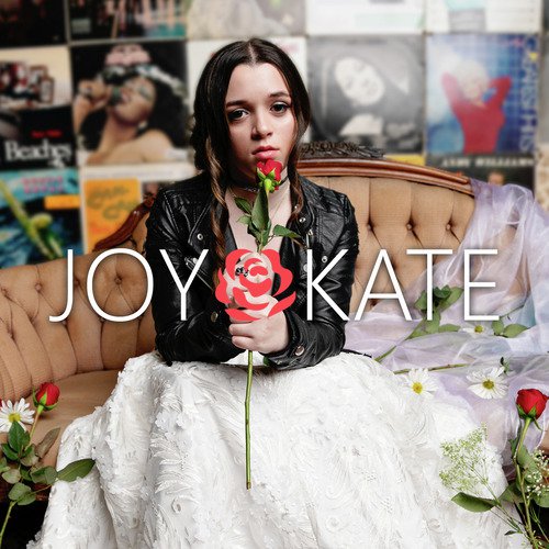 Joy Kate_poster_image