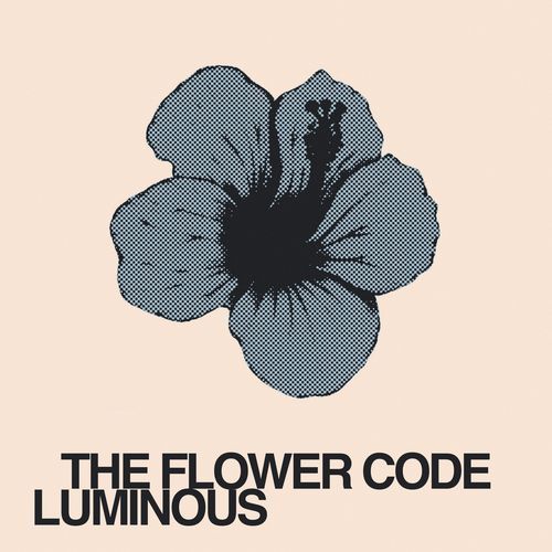 Luminous