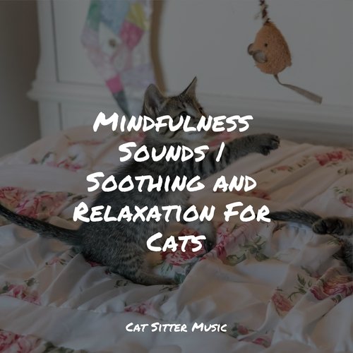 Mindfulness Sounds | Soothing and Relaxation For Cats_poster_image