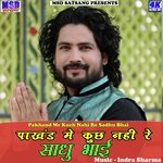 Pakhand Me Kuch Nahi Re Sadhu Bhai
