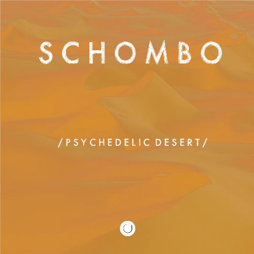 Psychedelic Desert (Original Mix) cover art