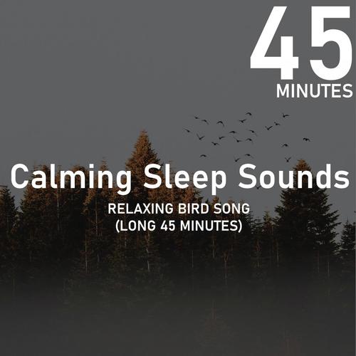 Relaxing Bird Song (Long 45 Minutes)_poster_image