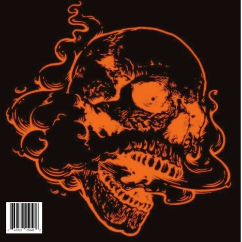 SKULL ON FIRE: CRAZY cover art