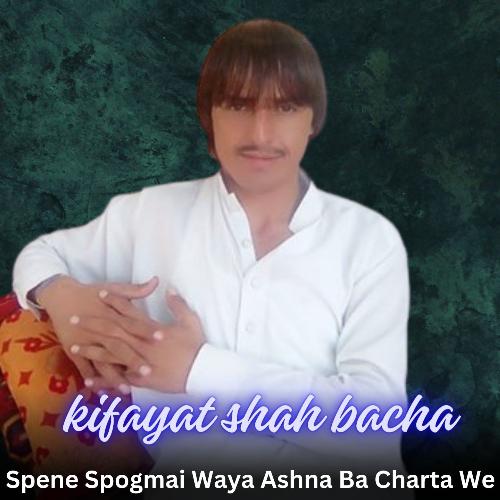 Spene Spogmai Waya Ashna Ba Charta We