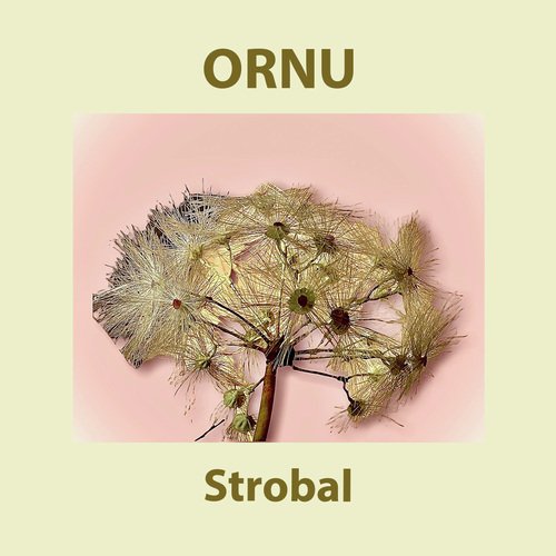 Stanley cover art