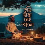 তুমি ছাড়া নেই আলো