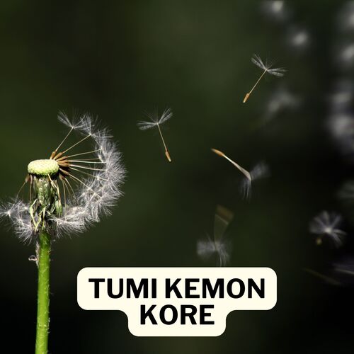 TUMI KEMON KORE