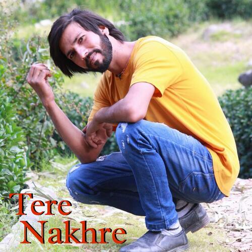 Tere Nakhre