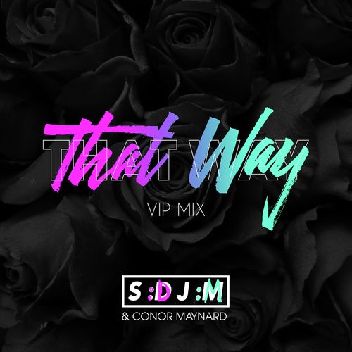 That Way (VIP Mix)_poster_image