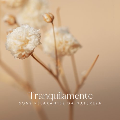 Sono Profundo cover art