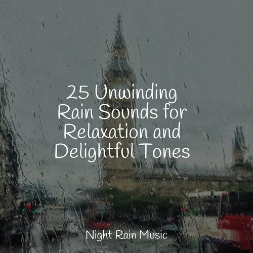 25 Unwinding Rain Sounds for Relaxation and Delightful Tones