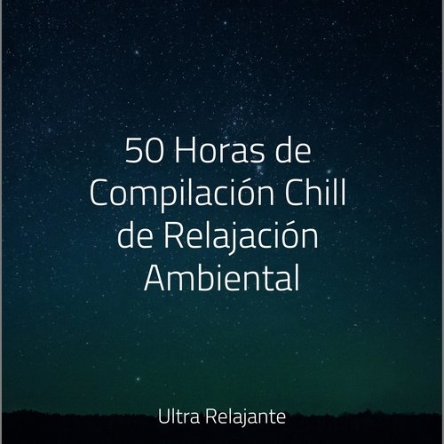 50 Horas de Compilación Chill de Relajación Ambiental