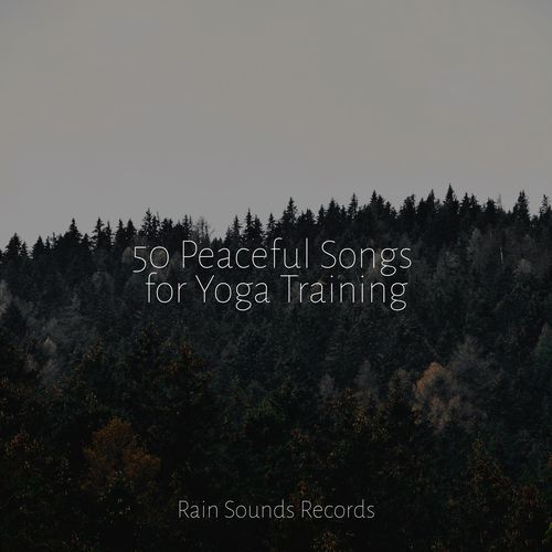 Raindrops Dance on Glass cover art