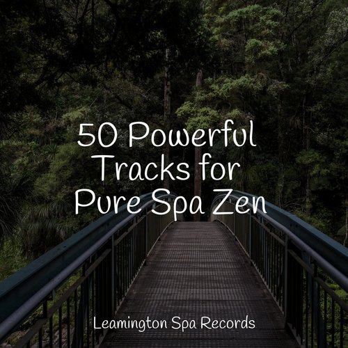50 Powerful Tracks for Pure Spa Zen