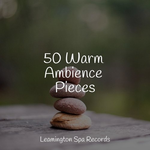 Sleep Music cover art