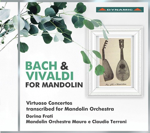 Concerto for 2 Violins in D Minor, BWV 1043 (Arr. for Mandolin Orchestra): III. Allegro