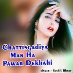 Chattisgadiya Man Ha Pawar Dekhahi artwork