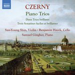 Trio brillant in A Major for Violin, Cello &amp; Piano, Op. 211 No. 2: II. Andante allegretto