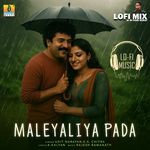Maleyaliya Pada Lofi Mix DJ Hari Surat