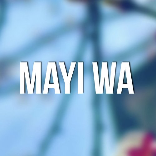 Mayi Wa