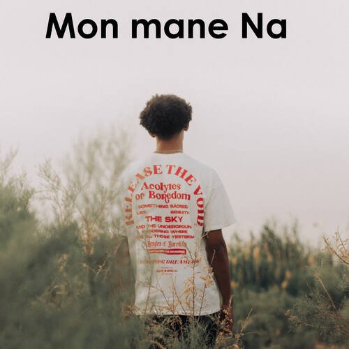 Mon Mane Na