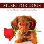 Dog Music For Dogs