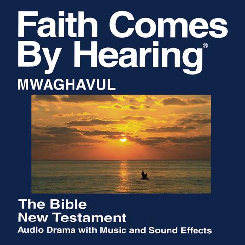 Mwaghavul New Testament (Dramatized)