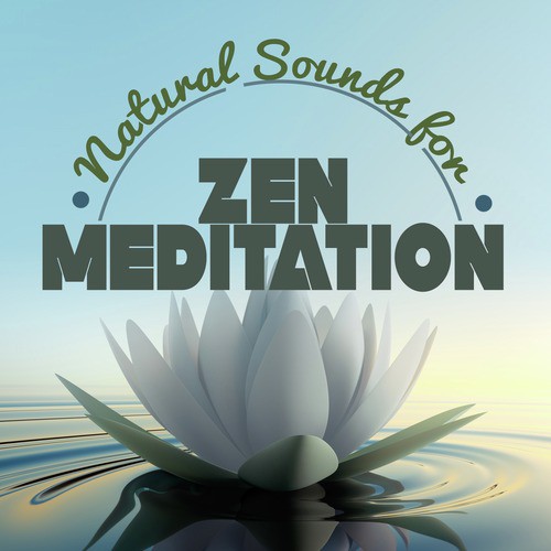Nature Sounds for Zen Meditation