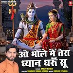 O Bhole Main Tera Dhyan Dharun Su