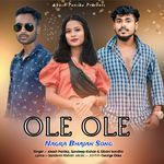 OLE OLE NAGRA BHAJAN SONG