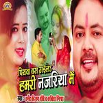 Piyawa Bas Gaila Hamari Nazariya Mein